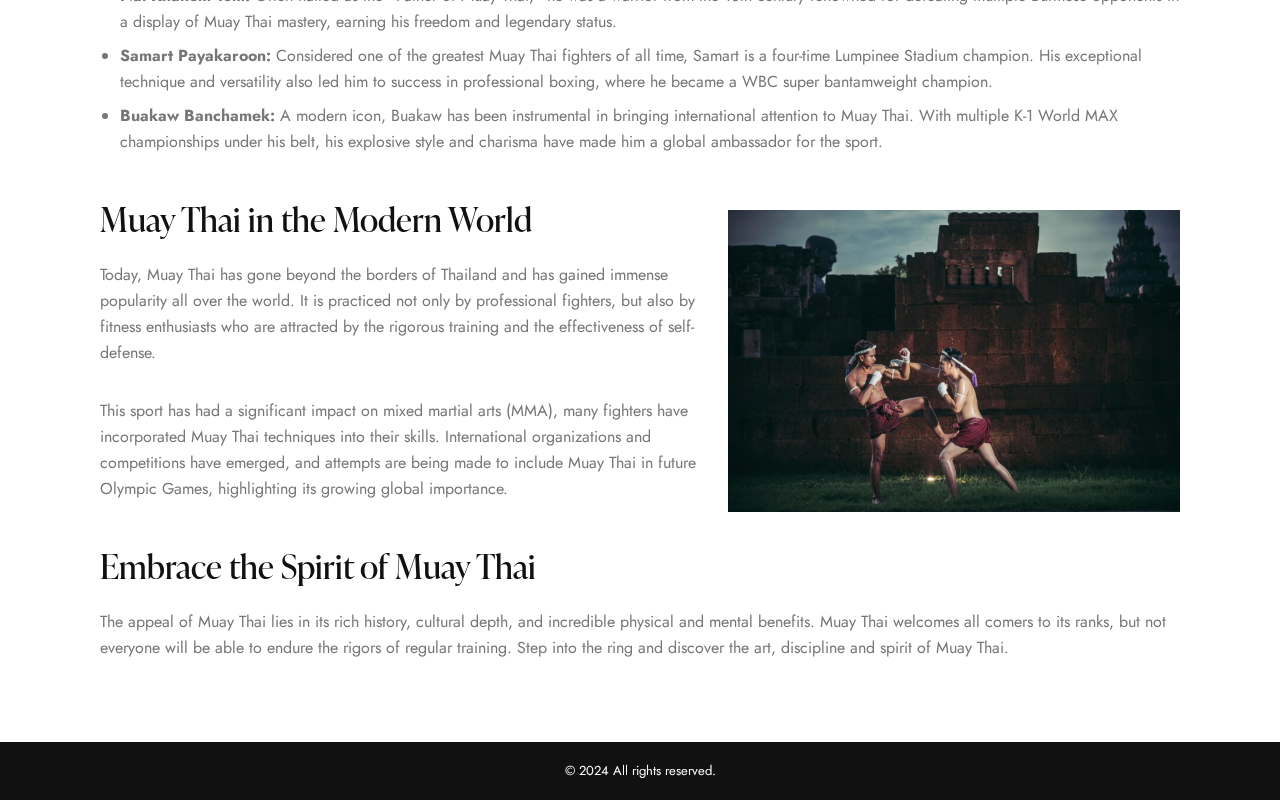 Master Muay Thai: Tradition, Discipline, and Training screenshot