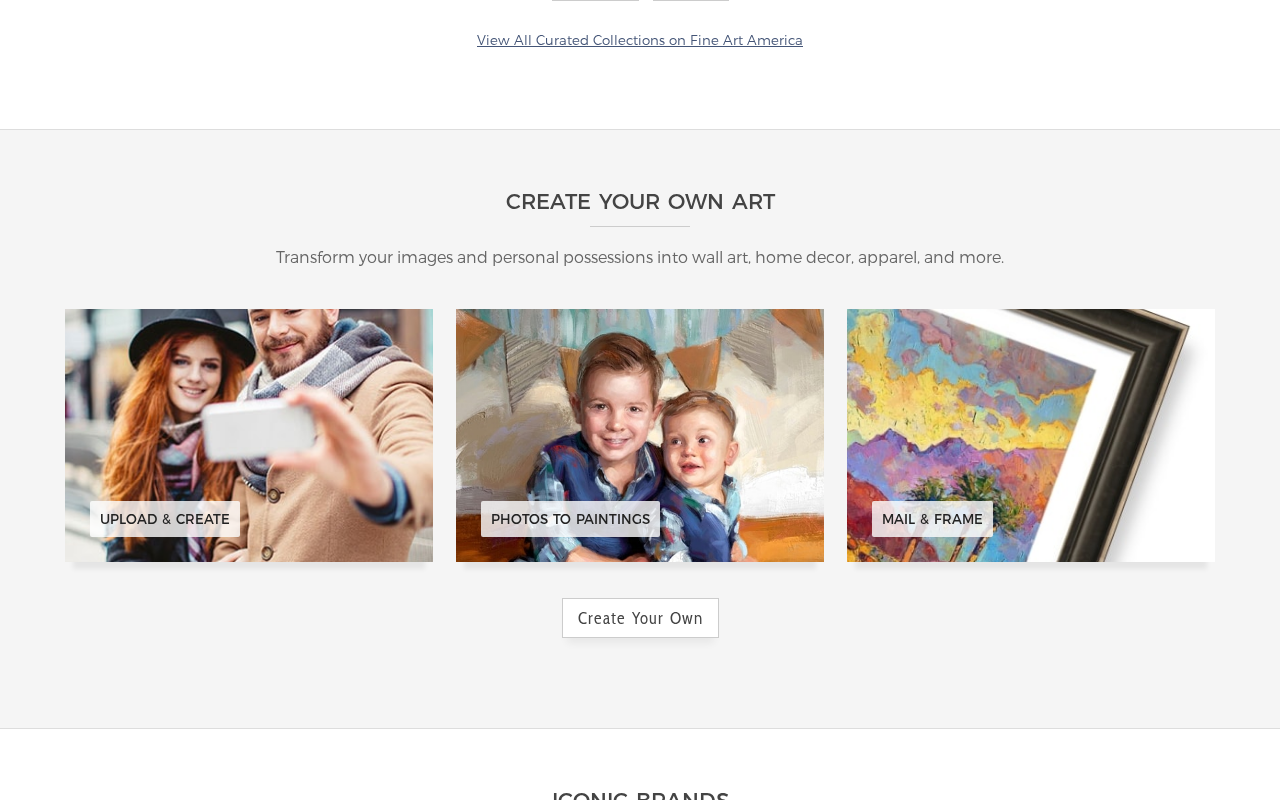 FineArtAmerica screenshot