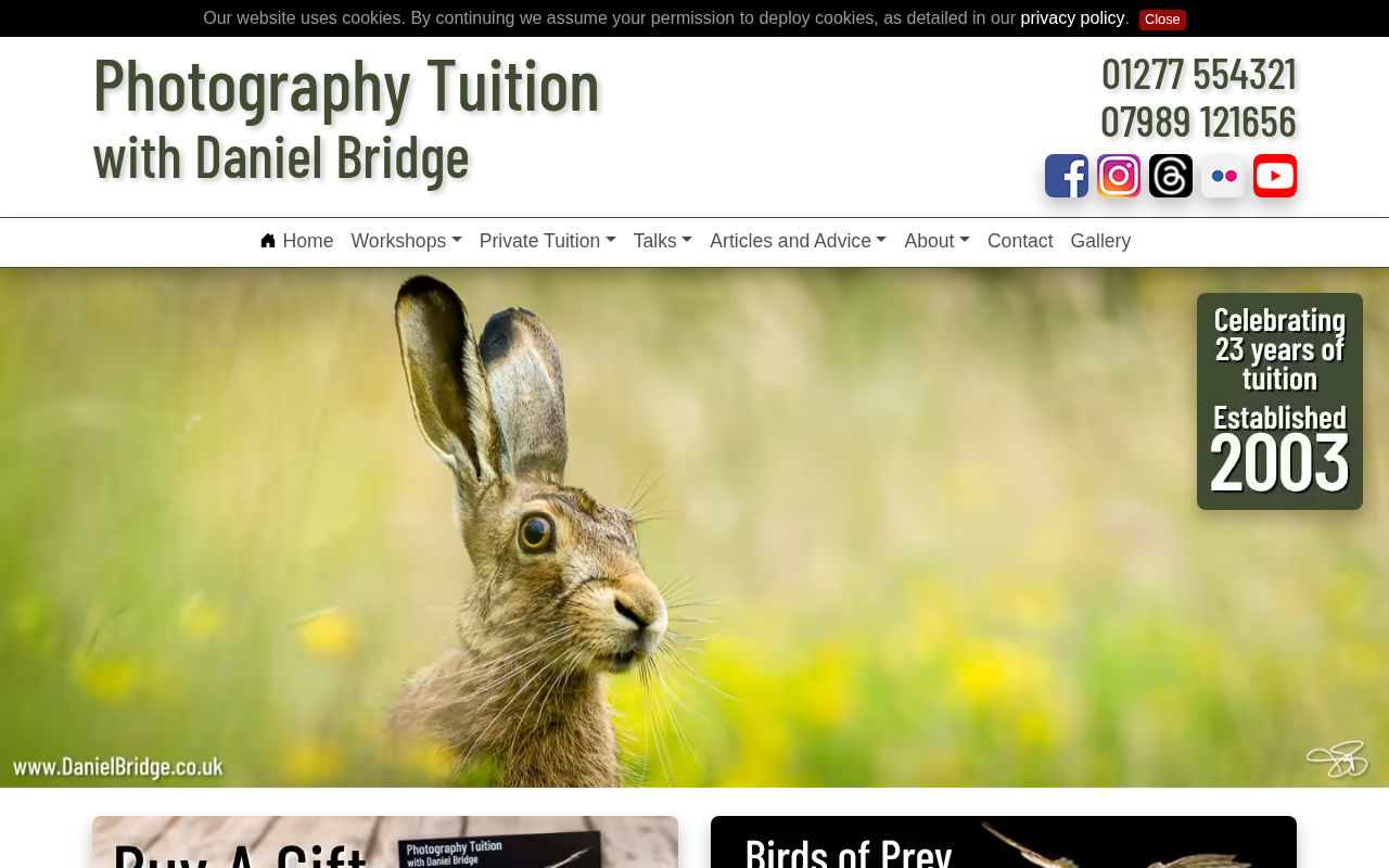 Photography Tuition with Daniel Bridge screenshot