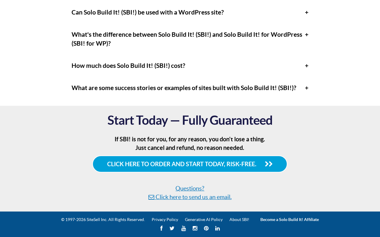 Solo Build It! (SBI!): Solopreneurs Build a Profitable Online Business screenshot