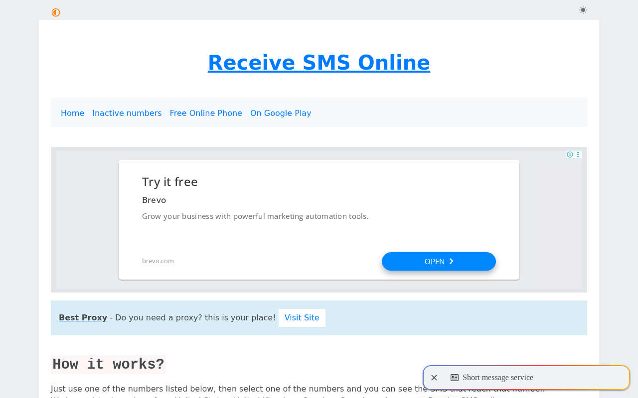 Receive SMS Online screenshot