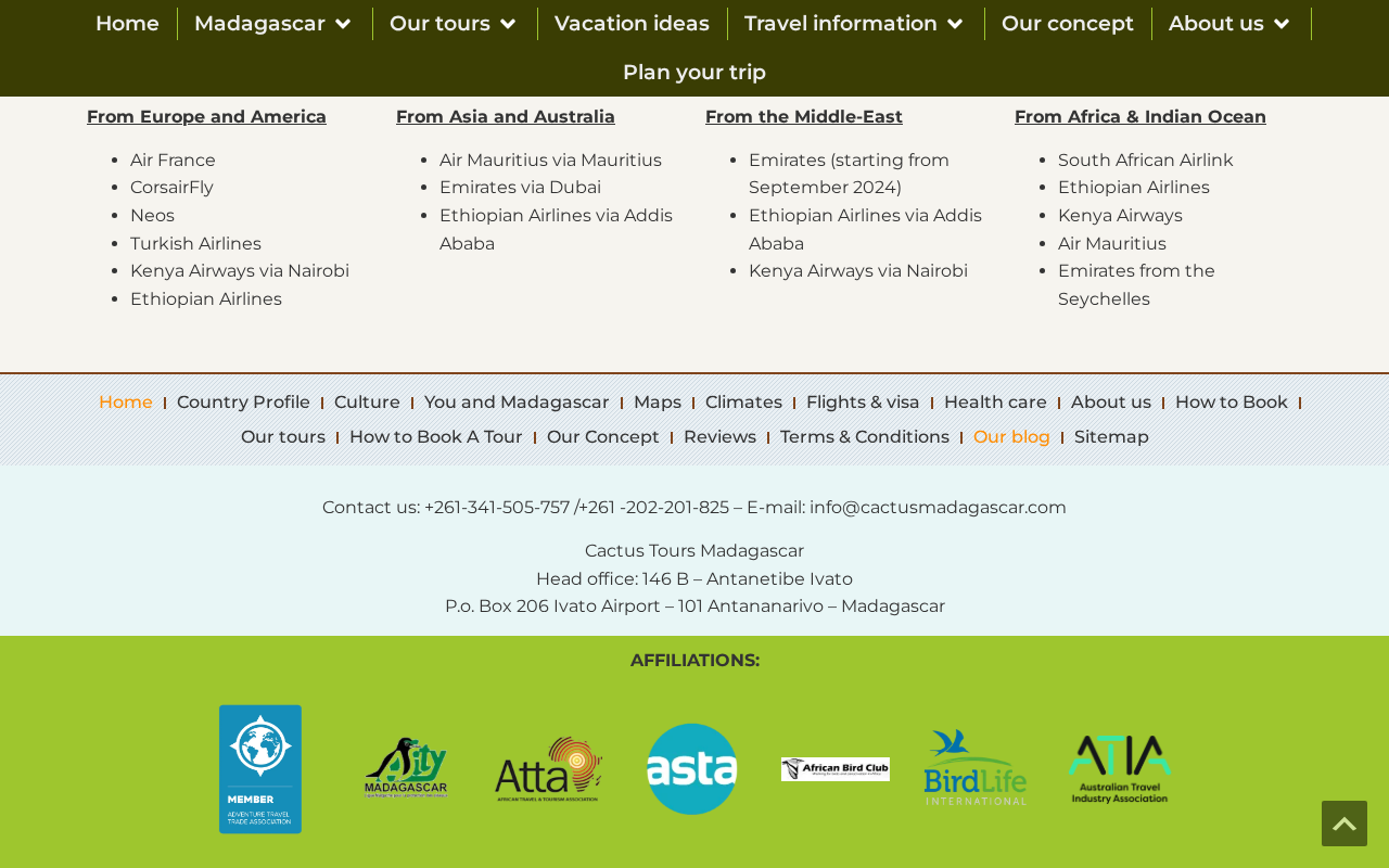 Madagascar Wildlife Tours and Vacations screenshot
